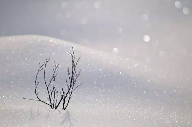 造雪機(jī)